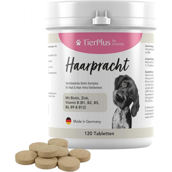 Haarpracht Tabletten - hochdosiertes Biotin Komplex für Hunde