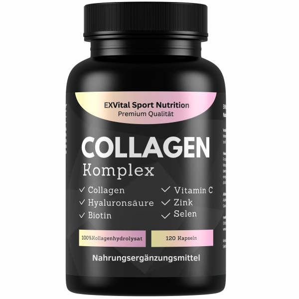 Collagen Hyaluronsäure Komplex, 120 Kapseln 1000mg Kollagen von EXVital