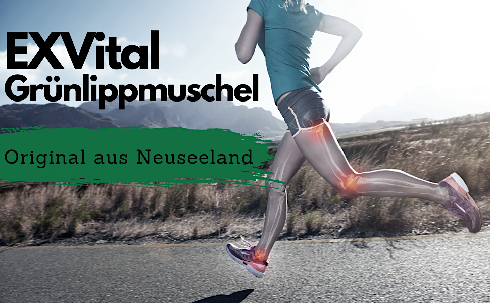 C1_Gruenlippmuschel