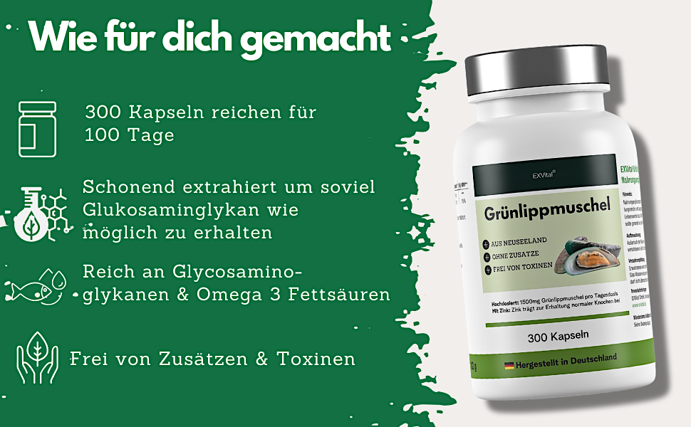C2a_Gruenlippmuschel
