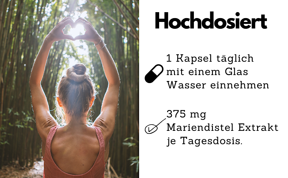 C3_Mariendistel_Kapseln