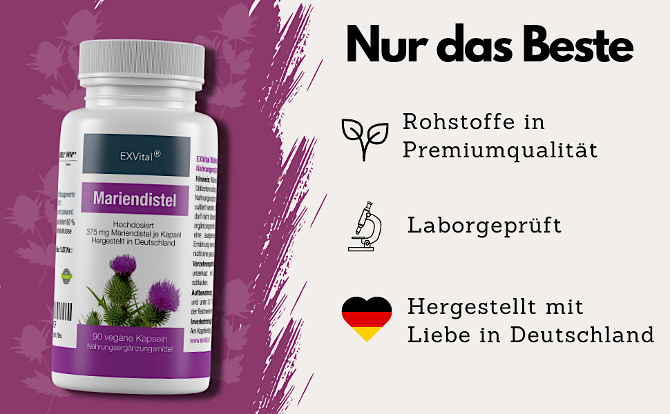 C4_Mariendistel_Kapseln