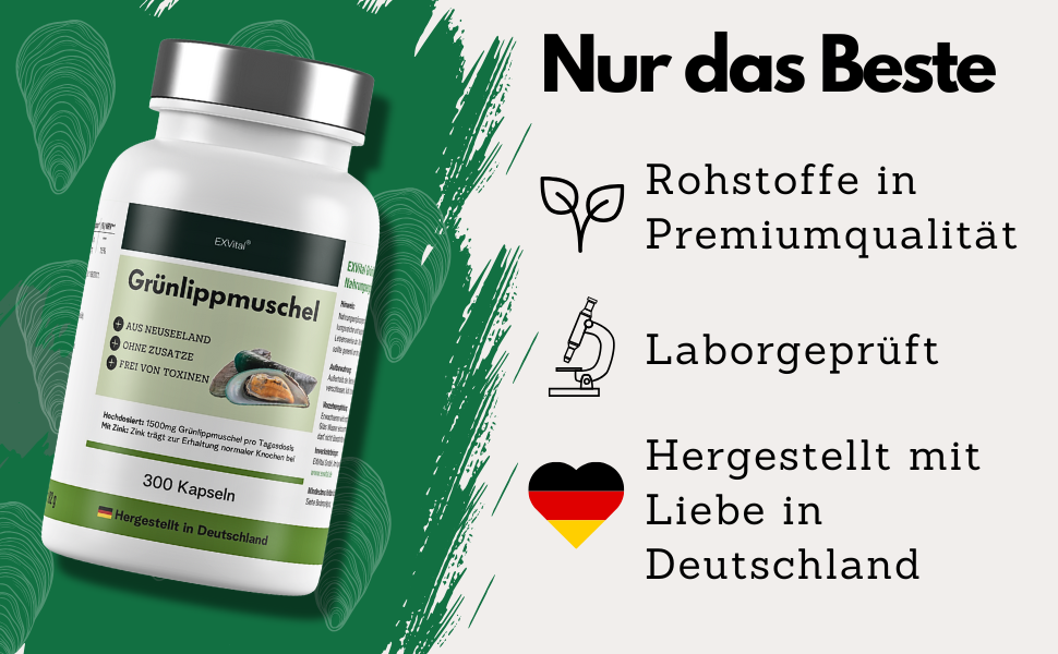 C4a_Gruenlippmuschel